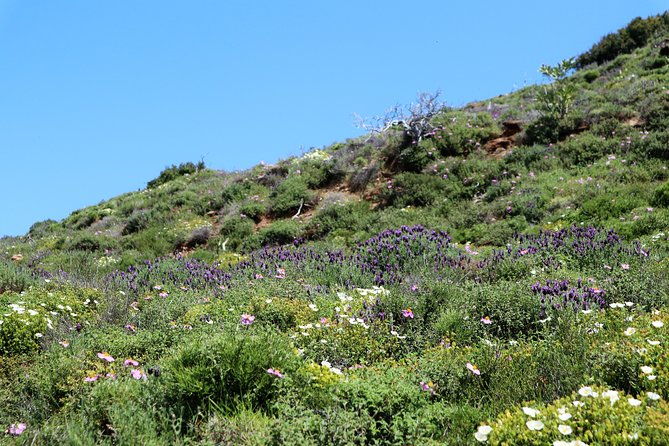 small-group-guided-hiking-tour-in-andros-with-picnic-on-the-beach