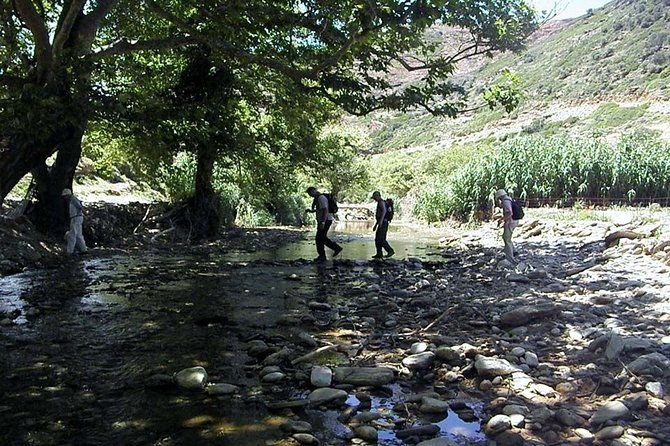 small-group-guided-hiking-tour-in-andros-with-picnic-on-the-beach
