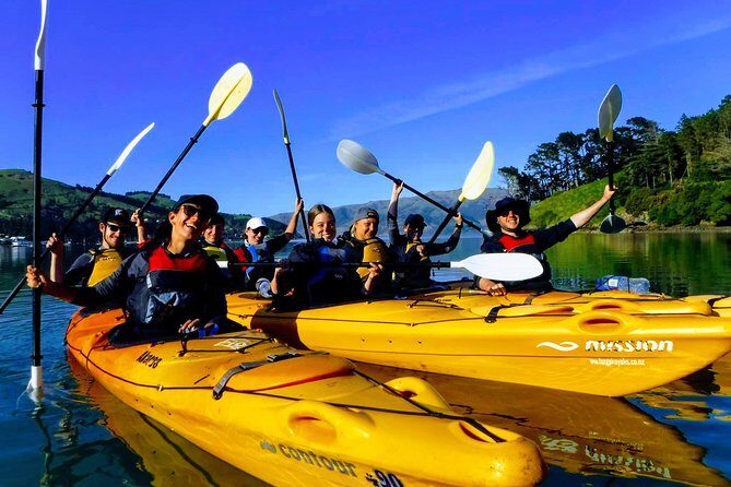 Small group guided sea kayaking in Akaroa marine reserve - Small Group Guided Sea Kayaking in Akaroa Marine Reserve