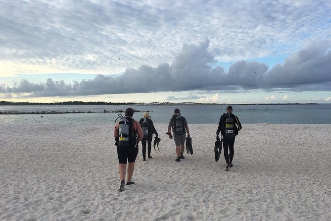 small-group-guided-shore-dives-in-st-andrews-state-park-florida