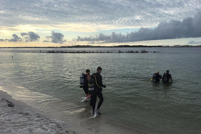small-group-guided-shore-dives-in-st-andrews-state-park-florida
