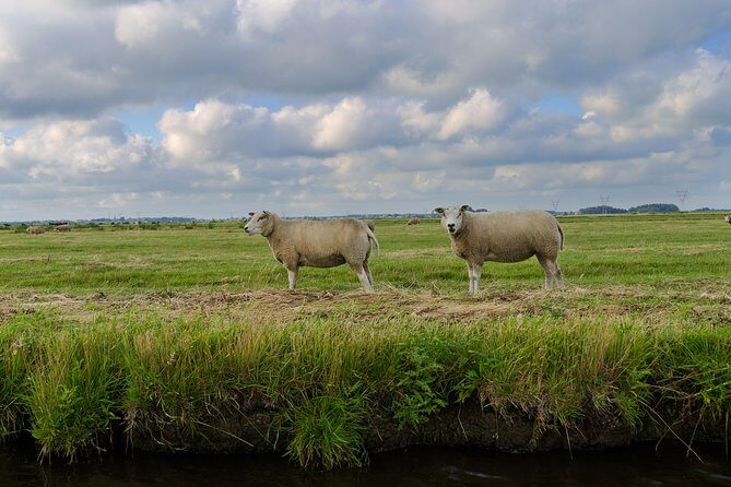 Small-Group Guided Sunset Canoe Tour in Waterland with Dinner - FAQs