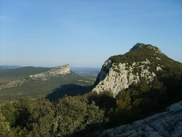 Small-Group Half-Day Languedoc Pic Saint-Loup Wine Tour from Montpellier - Key Points