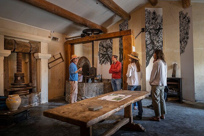 small-group-half-day-languedoc-wine-and-olive-tour-from-montpellier