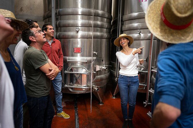small-group-half-day-languedoc-wine-and-oyster-tour-from-montpellier