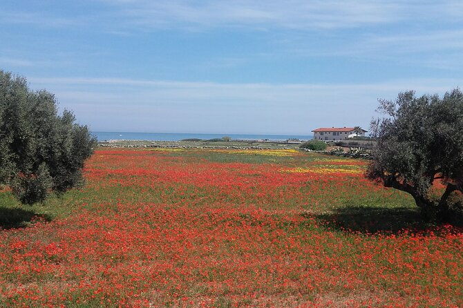 small-group-half-day-tour-of-polignano-a-mare-and-monopoli
