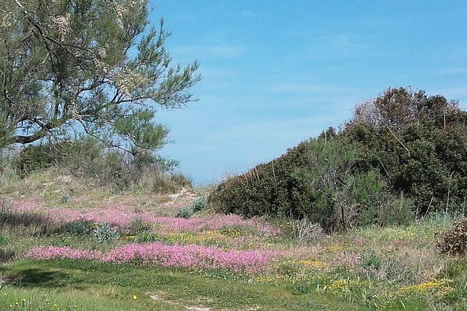 small-group-half-day-tour-of-polignano-a-mare-and-monopoli