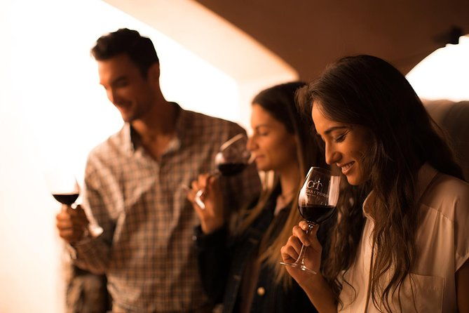 small-group-half-day-tour-to-concha-y-toro-winery