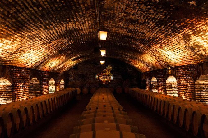 small-group-half-day-tour-to-concha-y-toro-winery