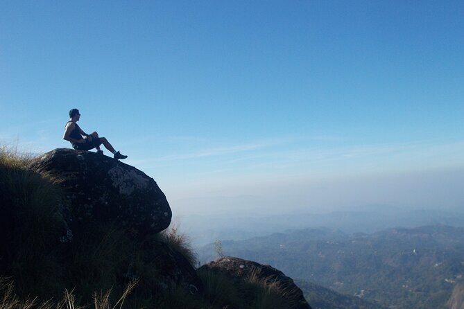 Small-Group Half Day Trekking in Munnar with Breakfast - The Experience: An In-Depth Look