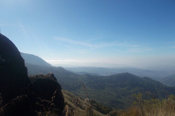 Small-Group Half Day Trekking in Munnar with Breakfast - FAQ