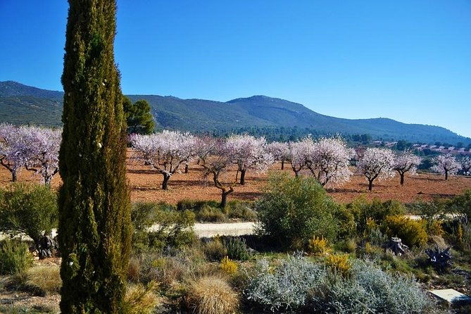small-group-half-day-wine-tour-2