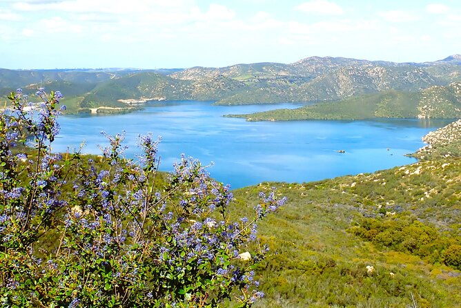 small-group-hike-through-san-diegos-heart-and-soul
