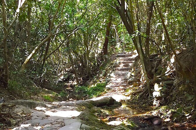 Small Group Hiking Day Tour to Lai Chi Wo - Why You’ll Love This Experience