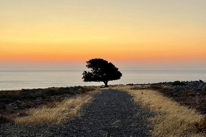 small-group-hiking-from-pefkos-to-navarone-bay-at-sunrise