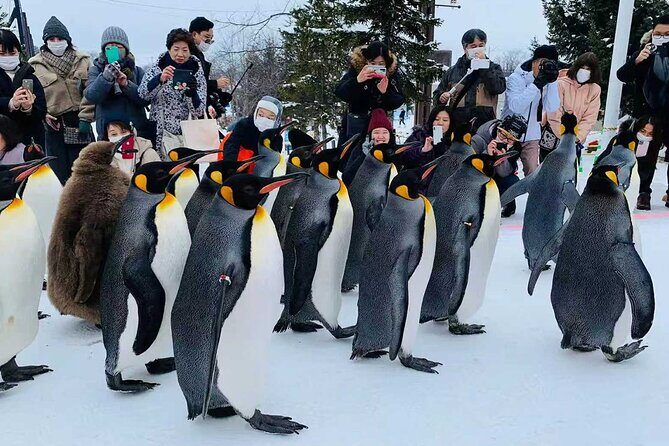 Small Group Hokkaido Sapporo Abashiri 9-Guest 2-Day Tour - Practical Tips for Making the Most of the Tour