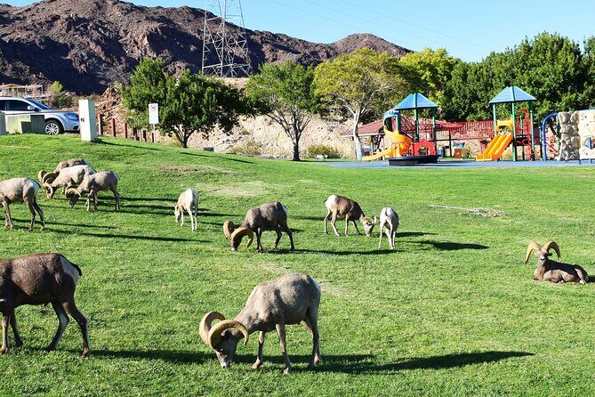 Small-Group Hoover Dam Tour from Las Vegas - The Experience and Value