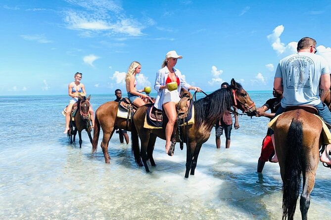 small-group-horseback-riding-adventure-in-caicos-islands