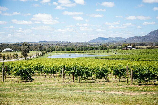 Small-Group Hunter Valley Wine Tasting Tour from Sydney - The Day in Detail: What to Expect from Each Stop