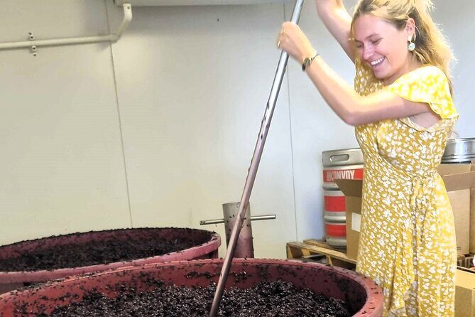 Small Group Hunter Valley Wine Tour + Lunch, Gin & Choc ex Sydney - What to Expect from the Itinerary