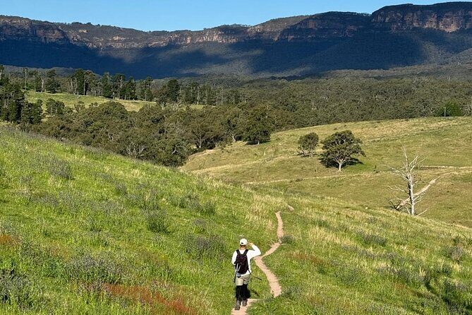 Small Group Hunter Valley Wine Tour + Lunch, Gin & Choc ex Sydney - Practical Tips