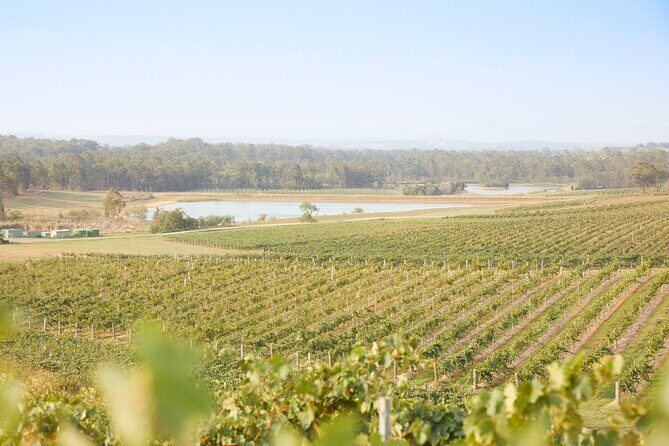 Small Group Hunter Valley Wine Tour w Lunch, Gin, Cheese & Choc - The Overall Verdict