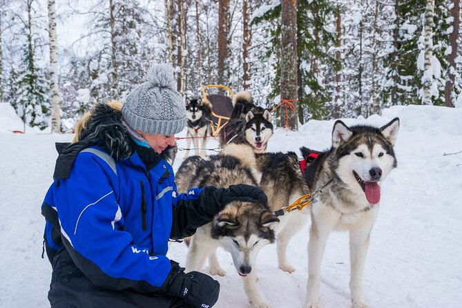small-group-husky-mushing-experience-in-rovaniemi