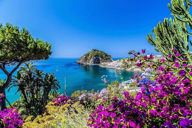 Small Group Ischia and Procida Boat Day Tour from Sorrento - Key Points