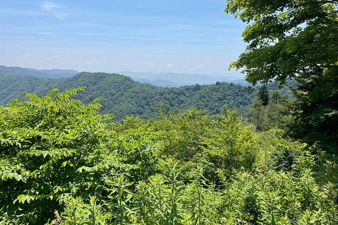 Small-Group Jeep Tour of Smoky Mountains Foothills Parkway - The Sum Up