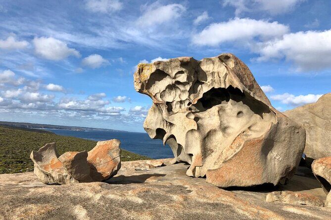 Small Group Kangaroo Island Tour - Best of KI - Final Thoughts