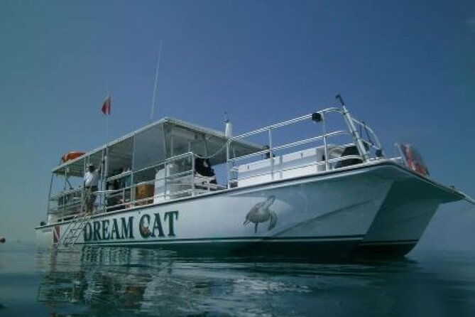 small-group-key-west-snorkel-adventure-2
