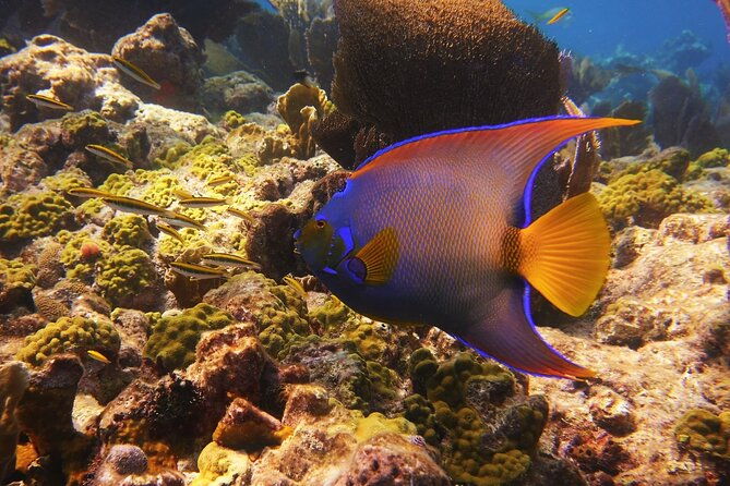 small-group-key-west-snorkel-adventure-2