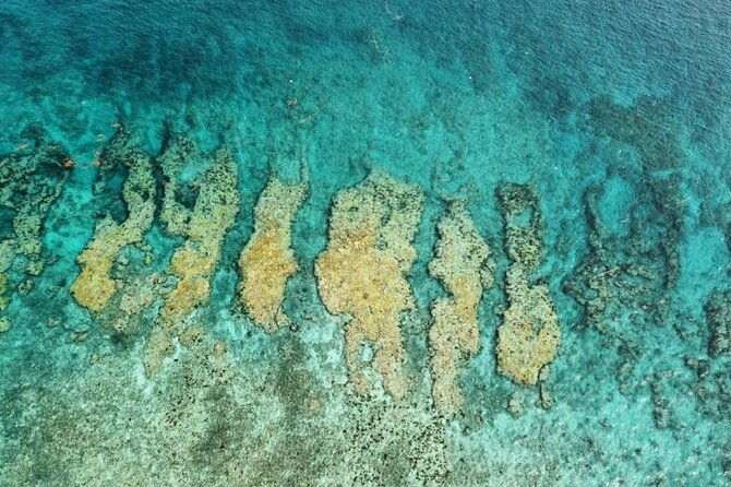 small-group-key-west-snorkel-adventure