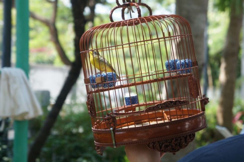 small-group-kowloon-markets-walking-tour