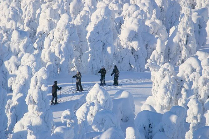 small-group-lapland-cross-country-ski