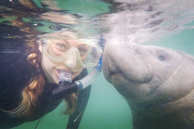 Small Group Manatee Snorkel Tour with In-Water Guide and Photographer - What to Expect from the Manatee Snorkel Tour
