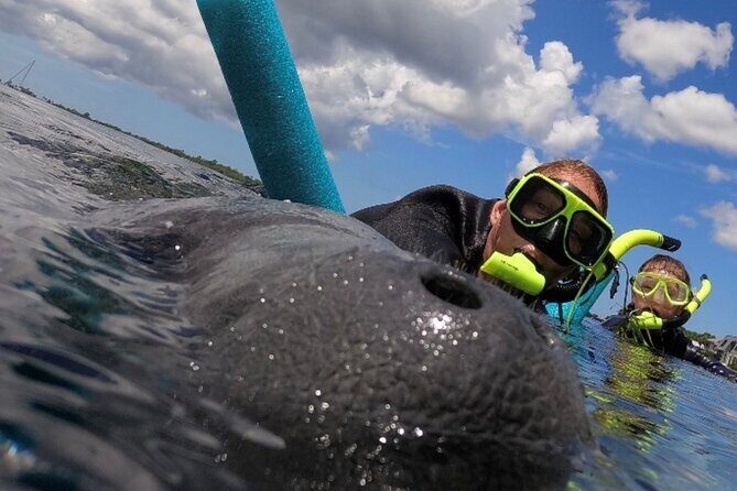 Small Group Manatee Snorkel Tour with In-Water Guide and Photographer - Practical Tips for Your Tour