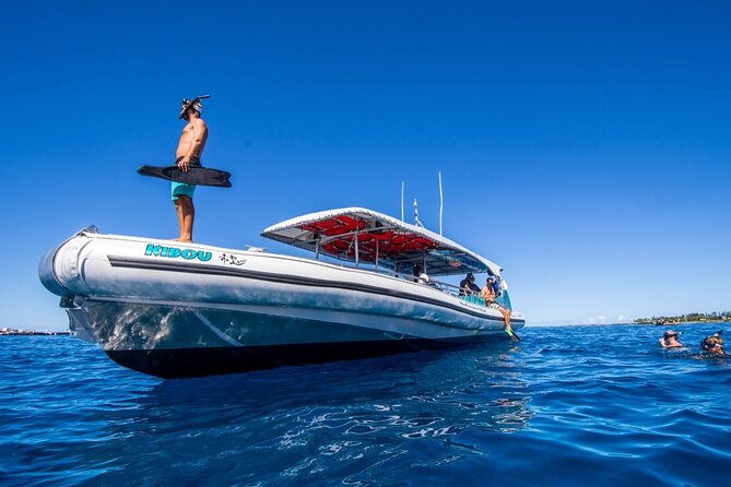small-group-manta-ray-moonlight-snorkel-from-kona
