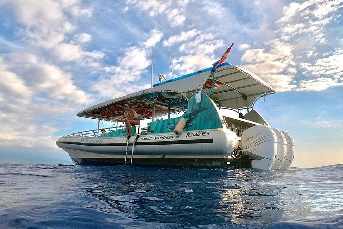 small-group-manta-ray-moonlight-snorkel-from-kona