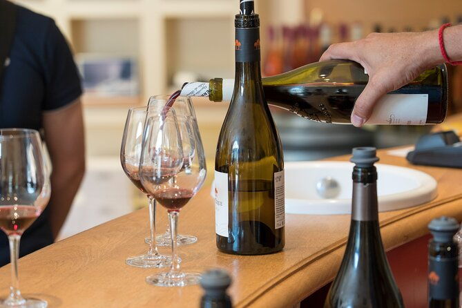 small-group-marseille-shore-excursion-avignon-chateauneuf-du-pape-wine-tour-4