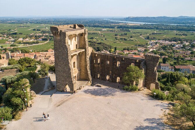 small-group-marseille-shore-excursion-avignon-chateauneuf-du-pape-wine-tour-4