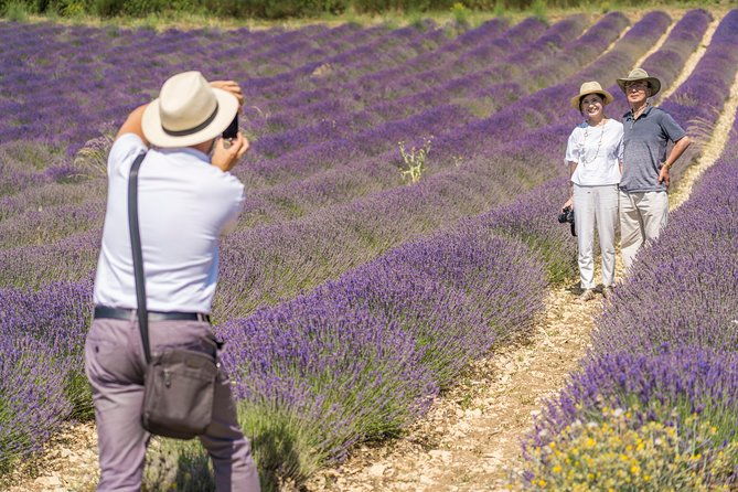 small-group-marseille-shore-excursion-lavender-tour
