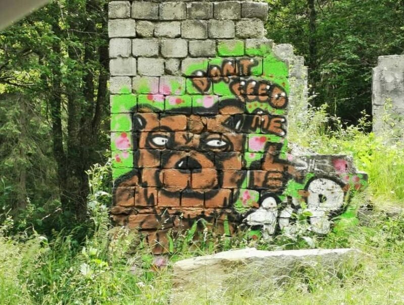 Small group max 7 - Bears Safari on Top Gear -Transfgran - Poenari Fortress: The Real-Life Dracula Connection