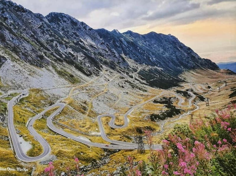 Small group - max 7 pax -Wild Bears Safari on Transfgran - Exploring Romania’s Mountain Marvels: The Complete Experience