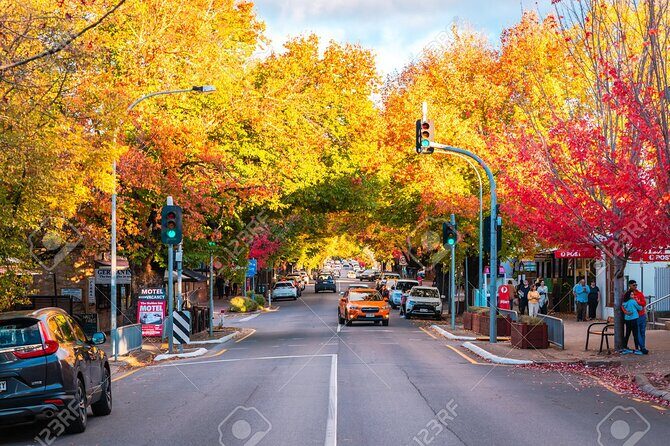 Small Group McLaren Vale and Hahndorf Tour - Key Points