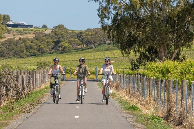 Small Group McLaren Vale and The Cube Experience - FAQs  
