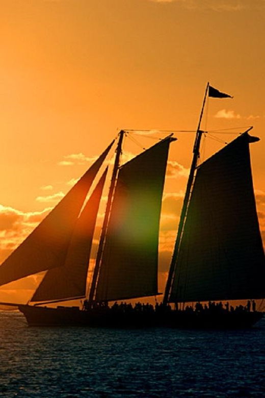 small-group-miami-and-everglades-national-park-1-day-tour
