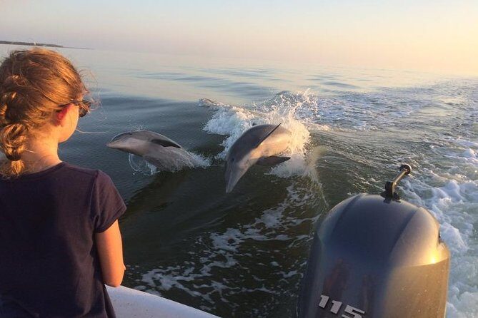 Small Group Motorboat Eco Tour of the Everglades - What Sets This Tour Apart?
