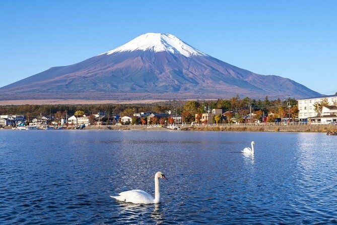 small-group-mt-fuji-sengen-shrine-and-lake-kawaguchi-tour