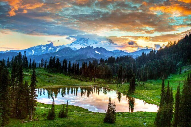 Small Group Mt Rainier National Park Day Tour from Seattle 2CanGo - Why This Tour Offers Great Value